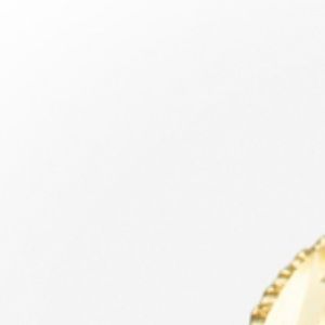 Meet your Posher, Steve